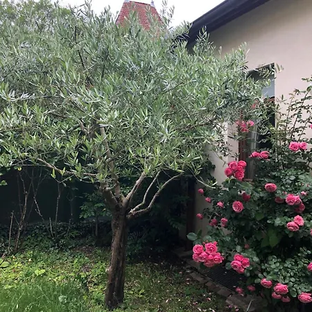 Les Jardins Du Chateau Annecy